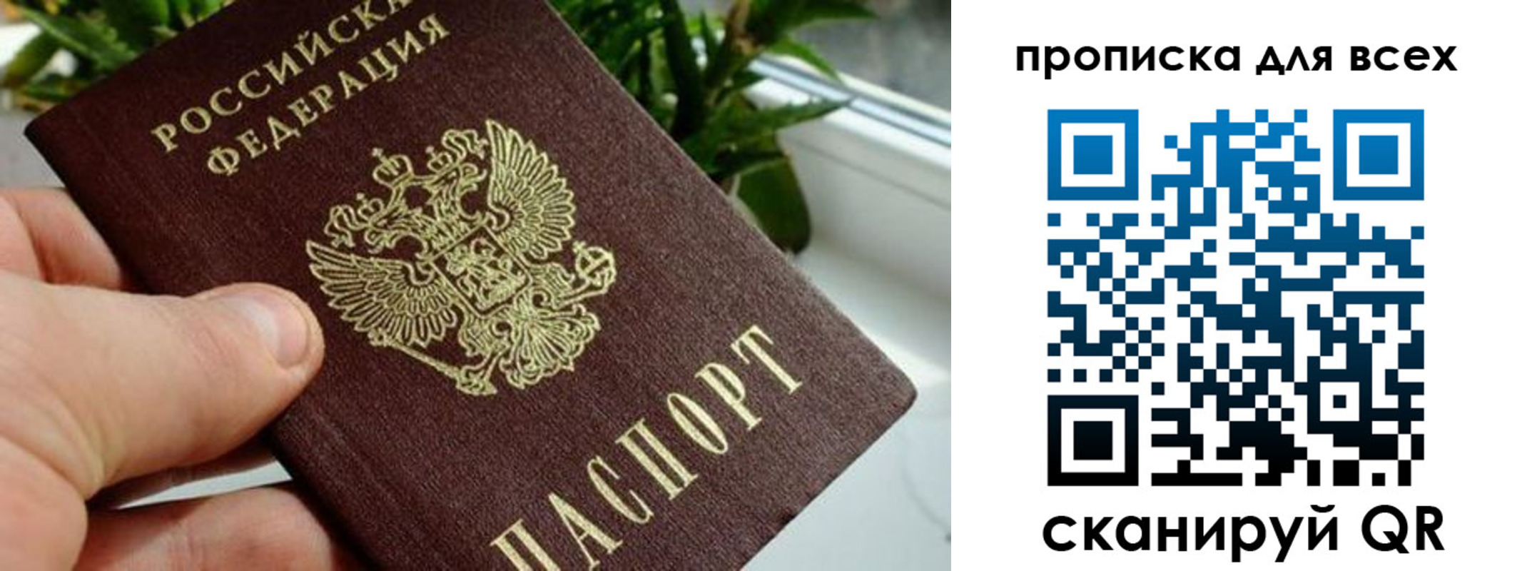 где прописаться в Коломне